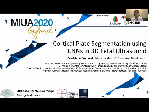 MIUA 2020: Cortical Plate Segmentation Using CNNs in 3D Fetal Ultrasound