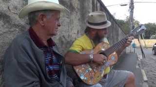 Moda do Tropeiro - Sassá da Viola e Seu Jorginho