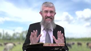 מסכת חולין דף י - 8 דקות של לומדות ועמקות בדרך הלימוד הישיבתית [Hullin 10]