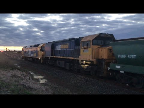7737v Pacific National grain with BL30 and XR559 arriving at Gheringhap loop 13/6/2021