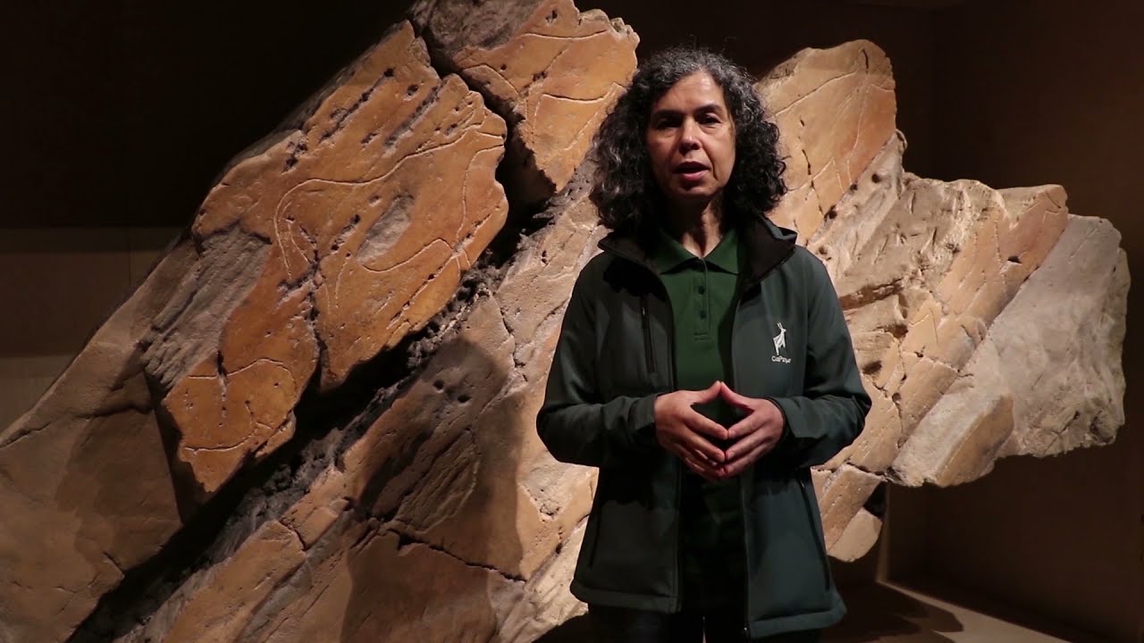 Visita ao Museu do Côa