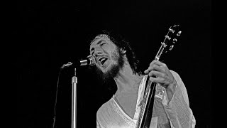 The Who - Whiskey Man - mono version (with lyrics)