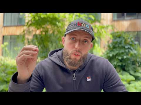 Sommerhus er den VÆRSTE Udlejningsejendom