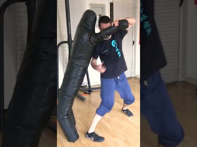 Vídeo relacionado con FITIZ Muñeco de boxeo para artes marciales mixtas (sin relleno) brasileño BJJ JIU Jitsu, posición de pie, chupete para lucha, artes marciales, boxeo, karate, entrenamiento (70 pulgadas,
