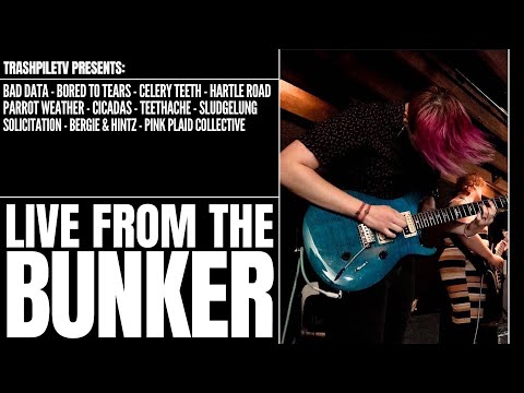 Live From The Bunker: A DIY Video Compilation from Starkville Mississippi