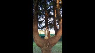 IL LEGNO, L’ALBERO DELLA VITA E GESÙ