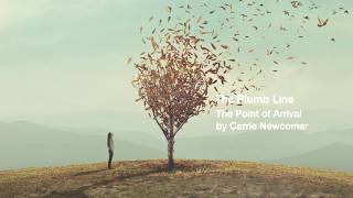 The Plumb Line By Carrie Newcomer