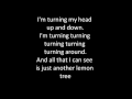 Lemon Tree-Lyrics