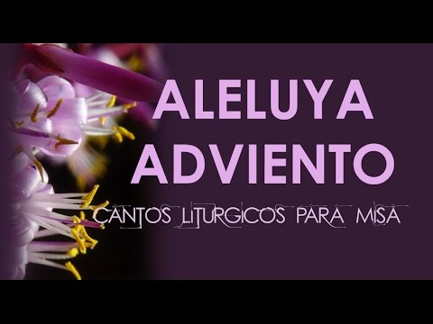 Aleluya (adviento) - Canciones Adventistas