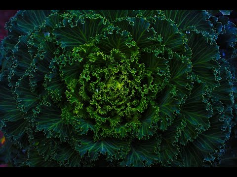 Know Views News 01-06-2021 1130PM UTC.mp4