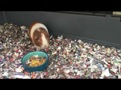 1964 Mk1 Mini Restoration S2 Ep20 - Floor Pan Replacement