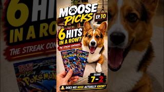 Ep. 10 - My corgi just pulled his 6th hit in a row… and now we’re arguing about it 🤔