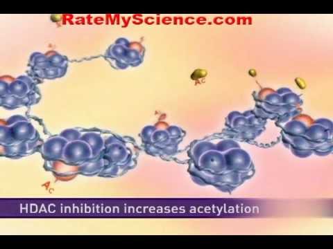Histone acetylation and cancer, Rate My Science