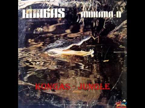 Legends of Vinyl Presents kongas - Jungle - Anikana-o LP - Salsoul Records - .wmv