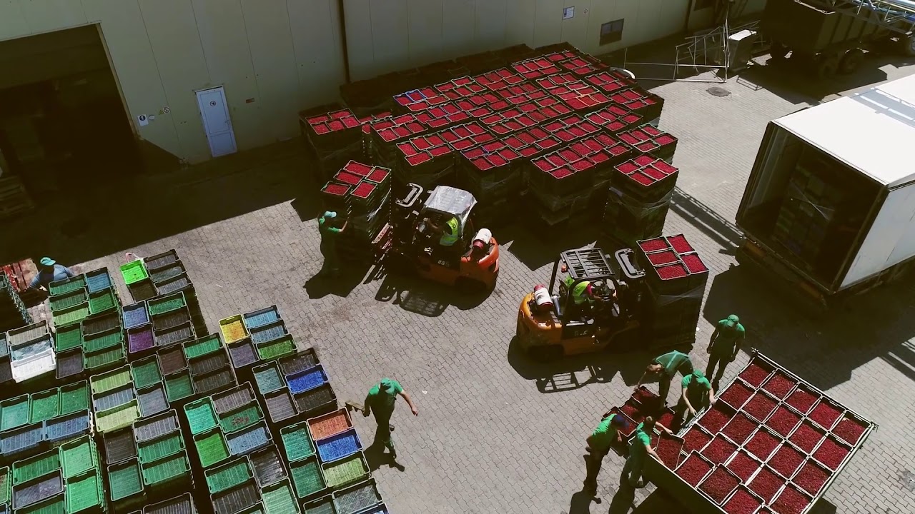 IMS Logistics- A to Z Full Logistics Services