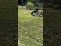 Doc's first trike ride. 