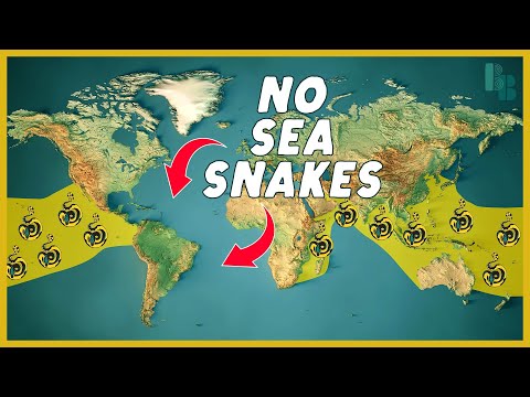 How Water Keeps Sea Snakes Out of the Atlantic