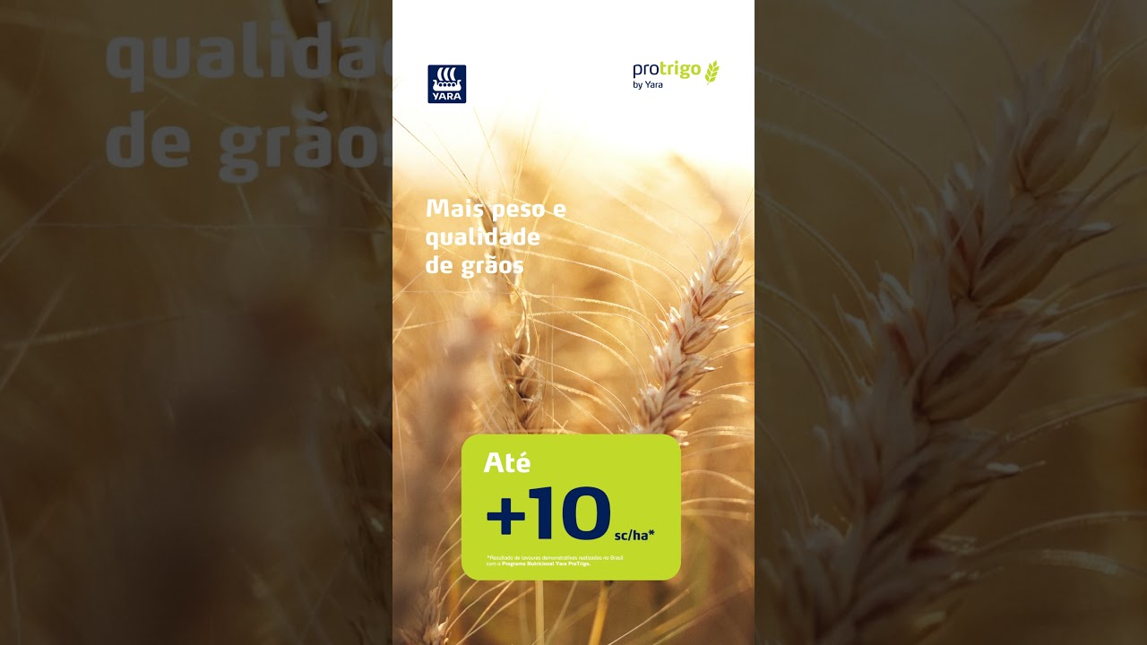 Programa Nutricional ProTrigo | Yara Brasil