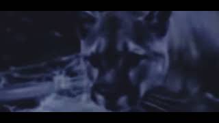 The Truth Comes Out Corb Lund