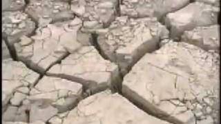 Scarred Lands &amp; Wounded Lives