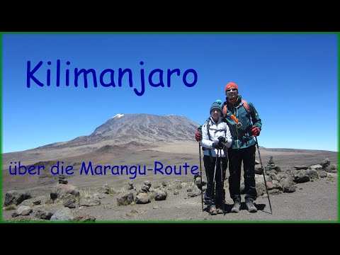 🚶🏼‍♀️🚶🏽 Irgendwo in Afrika - Teil 1 Kilimanjaro