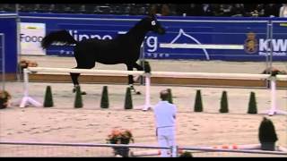 Video von Enzo Ferrari