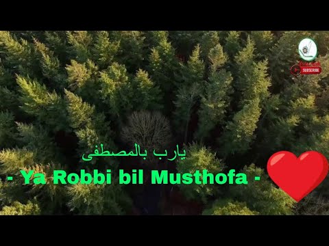 Ya Robbi Bil Musthofa – Lirik Teks Arab, Latin dan Artinya – Kalam Hikmah