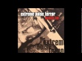 Extreme Noise Terror - Damage 381