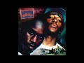 Mobb Deep - The Infamous (Full Album)