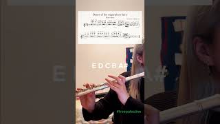 Dance of the sugarplum fairy | The Nutcracker| flute |sheet music