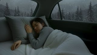 Nada é mais tranquilo que isso! Som de chuva forte com trovões e relâmpagos na floresta para dormir