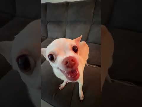 Nki is here and she is more stronger then ever🤣🤣