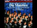 J. S. Bach: Singet dem Herrn - Motette BWV 225 (Thomanerchor, Biller)