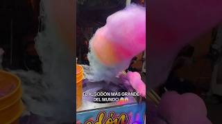 Así se prepara el algodón más grande del mundo