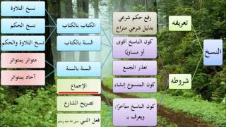 الطريق إلى علم أصول الفقه05 - النسخ- عامر بهجت image