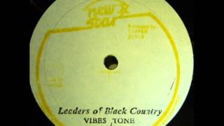 ReGGae Music 591 - Vibes Tone - Leaders Of Black Country [New Star]