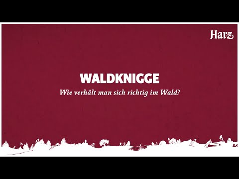 WALDKNIGGE - Wie verhält man sich richtig im Wald?