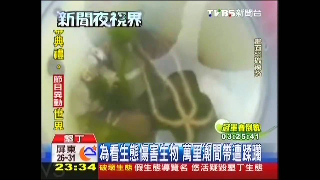 生態危機！導覽員帶頭玩生物　遊客爭學