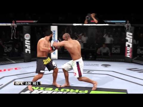 UFC 181 Hendricks vs Lawler II