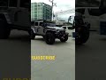 JEEP WRANGLER RUBICON MODIFIED Shorts