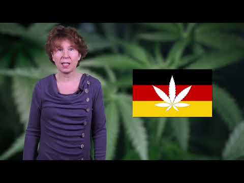 Mit der Legalisierung von Cannabis Deutschland schaden