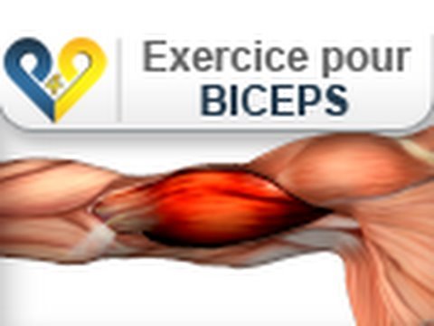 comment prendre rapidement des bras