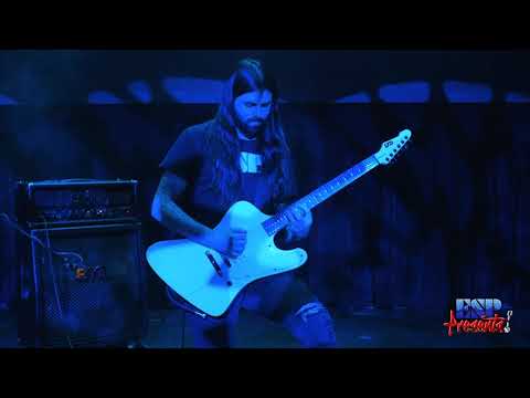 ESP Guitars 2021 Demo - LTD Phoenix Arctic Metal