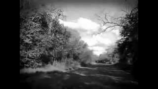 "SIN HILO" LAS PELOTAS / CORDEROS EN LA NOCHE