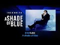 A Shade of Blue | Incognito | Song and Lyrics