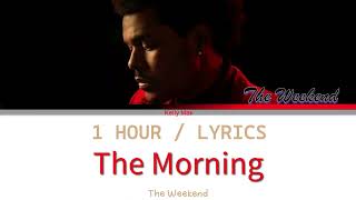 The Weekend | The Morning [1 Hour Loop] With Lyrics