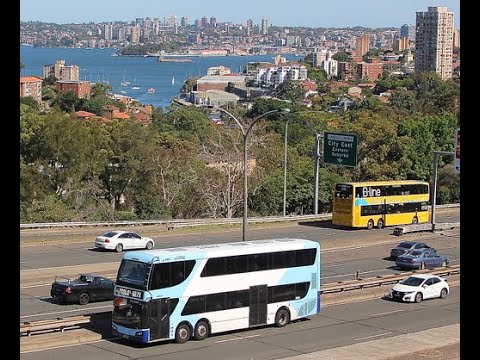 Buses in North Sydney Australia on the Warringah Freeway 2018