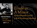 Etude in A Minor by F. Carulli - p.81 of Christopher Parkening Classical Guitar Method Vol.1