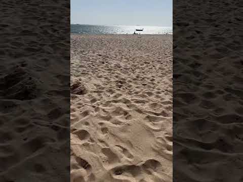 Beach #arijitsingh #sslofimusic #love #lofibollywood #music #bolliwoodlofi