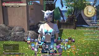 【FF14】蒼メッシュミコッテののんびりヒカセン